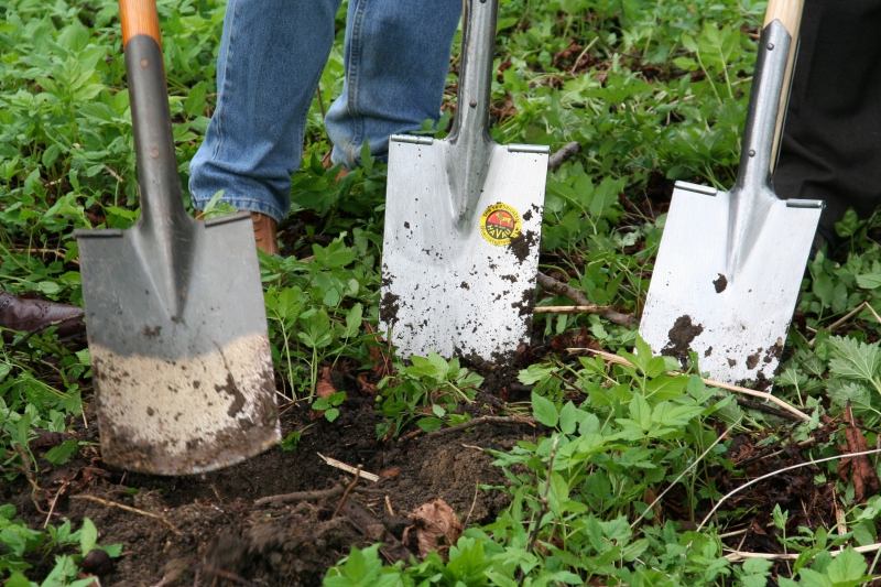 pepiniere-PIGNANS-min_work-lawn-flower-tool-green-backyard-1103633-pxhere.com